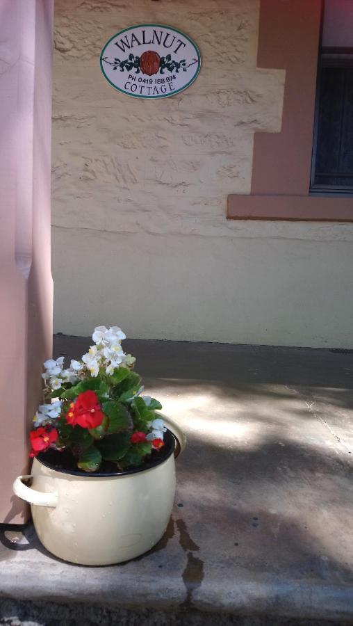 Walnut Cottage Angaston ภายนอก รูปภาพ