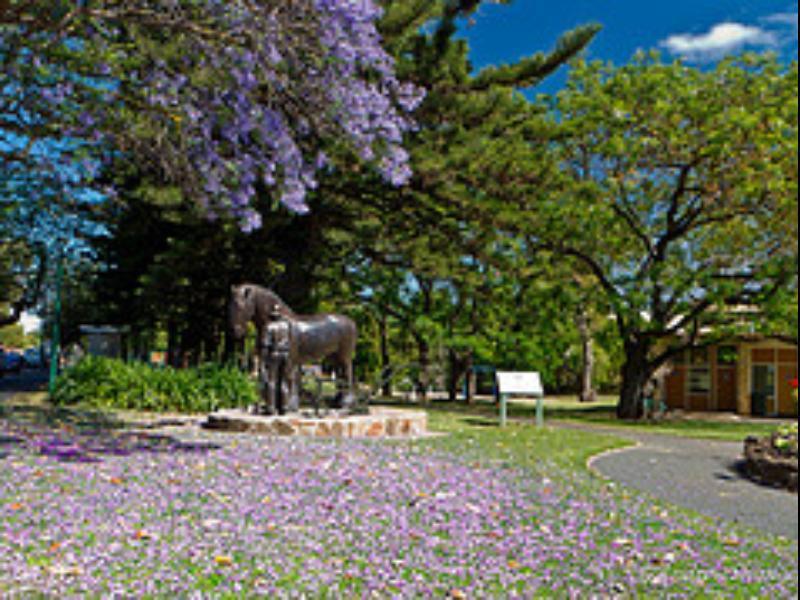 Walnut Cottage Angaston ภายนอก รูปภาพ